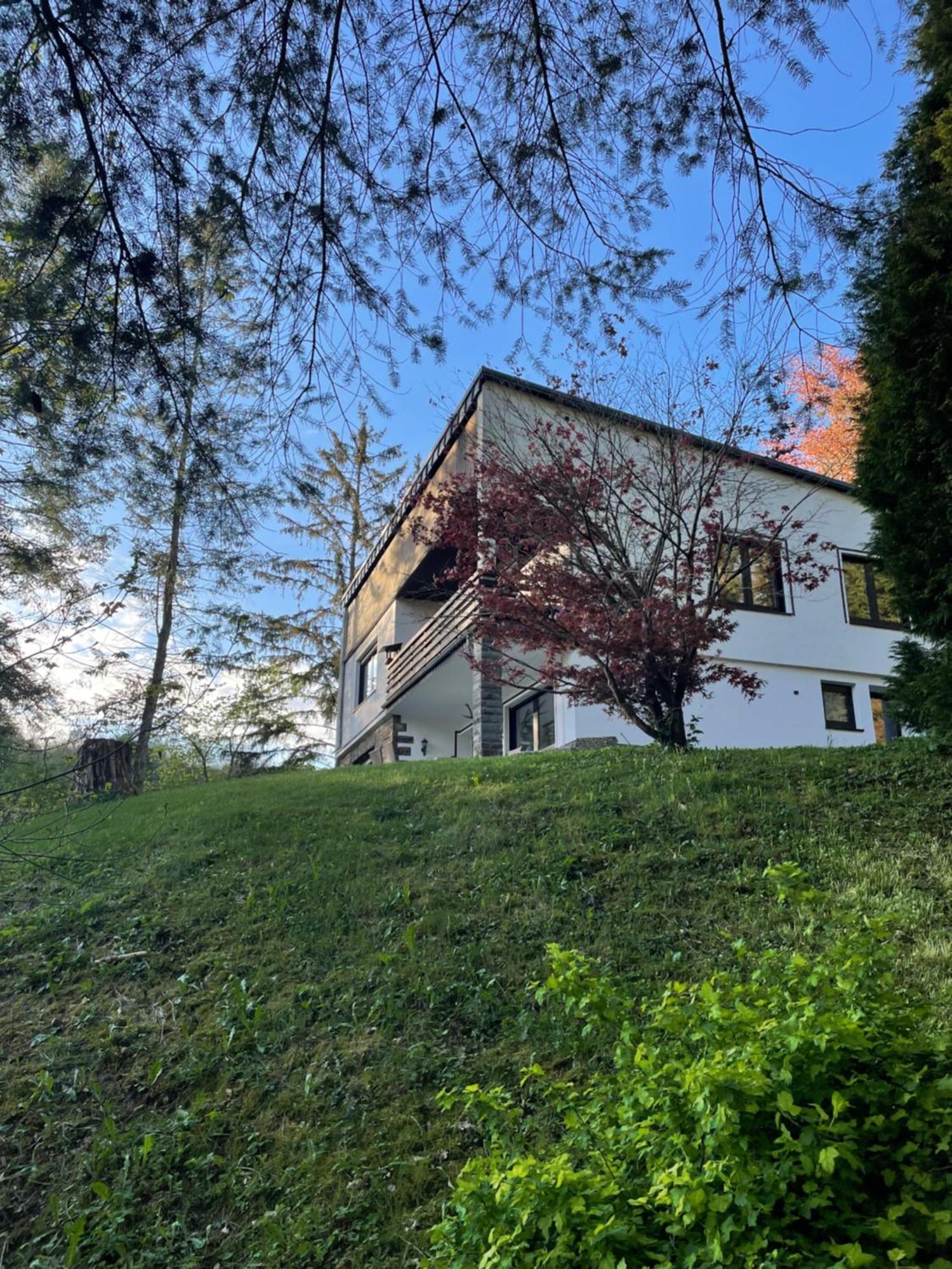Talblick Chalet Blankenheim 布兰肯海姆 外观 照片