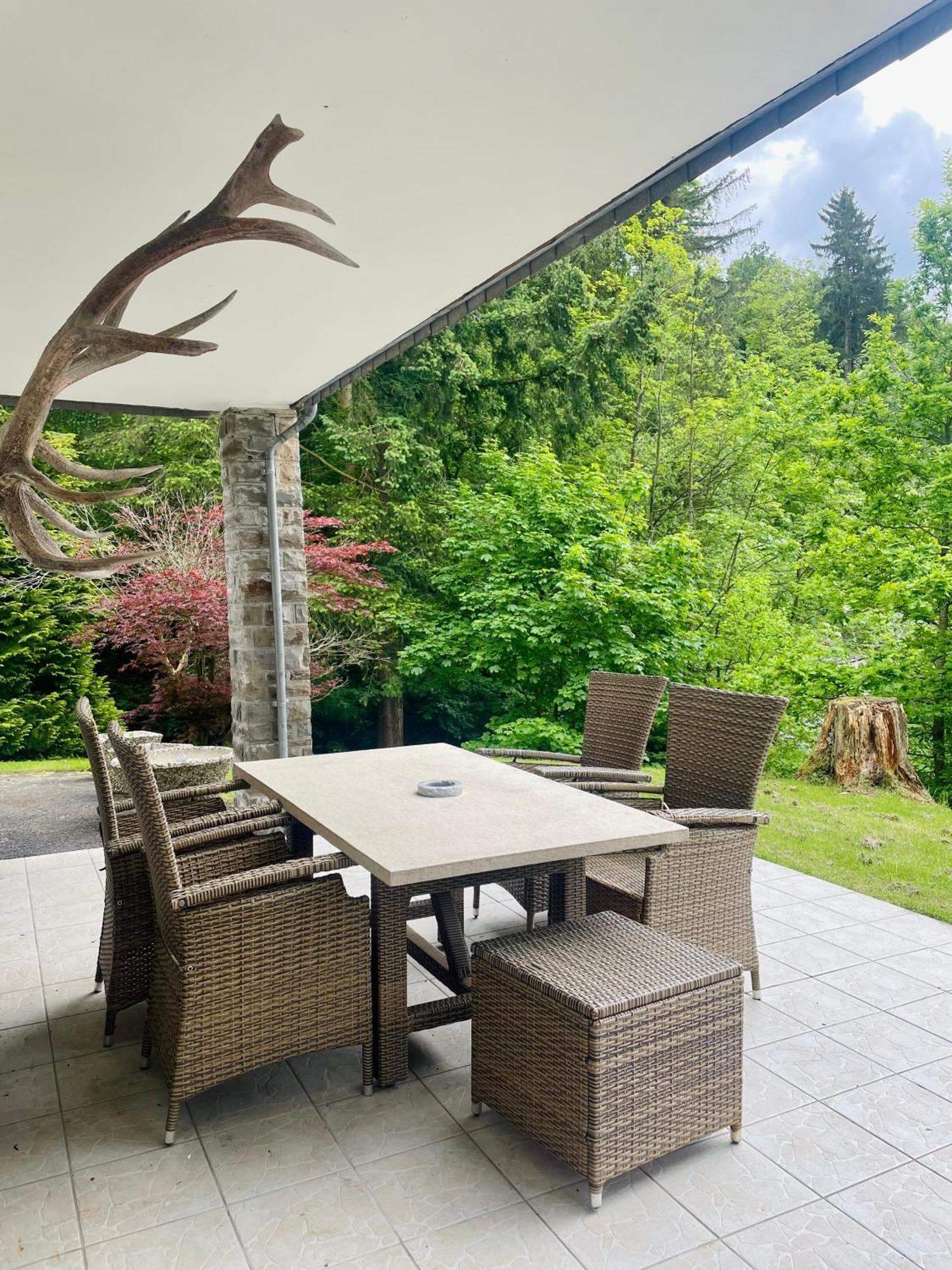 Talblick Chalet Blankenheim 布兰肯海姆 外观 照片